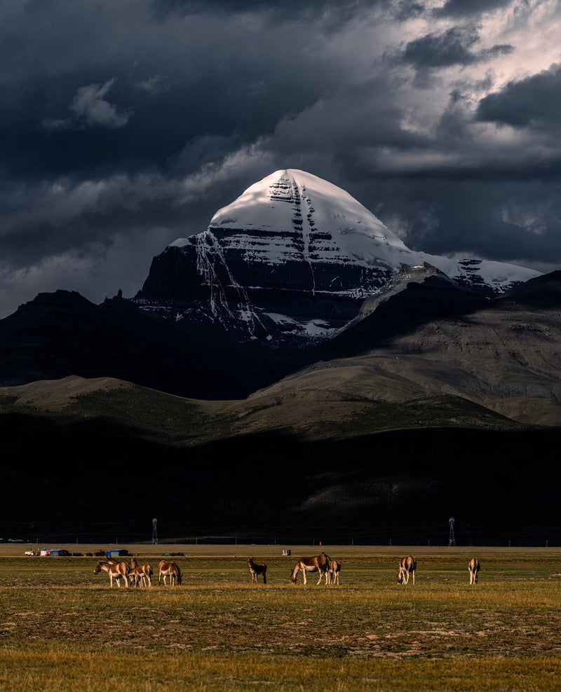 Mount Kailash Blessing Journey
